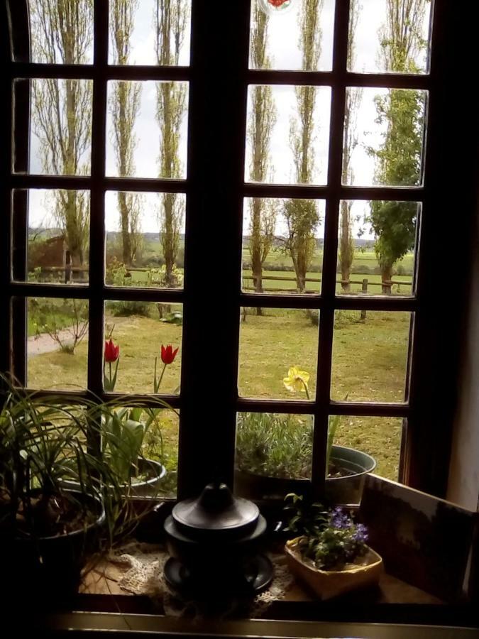 Hotot-en-Auge La Ferme Des Vignes B&B 외부 사진